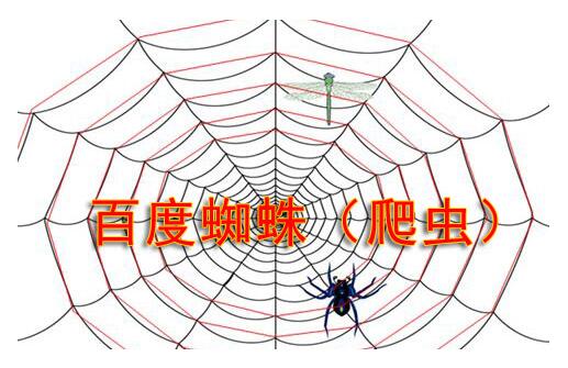 搜索引擎蜘蛛陷阱有哪些？如何避免蜘蛛陷阱